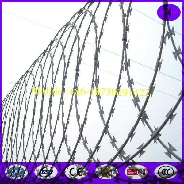 Razor wire -Flat Warp Razor Barbed Wire