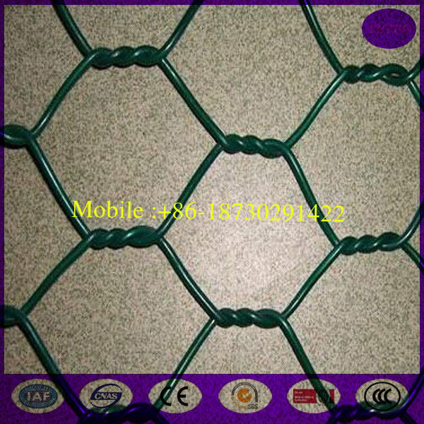 25MM Green PVC caoted Garden Hexagonal Chicken Wire Mesh Fence with 36" x 100'
