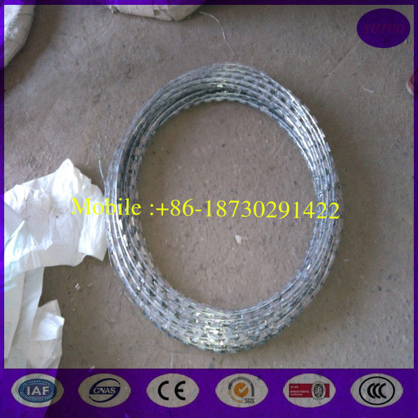 10 meter /roll Hot Dipped Galvanized Razor barbed wire