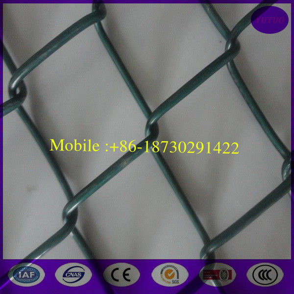 Hot Used in Australia Beautiful PVC Coated 55*55mm Chain Link Fence