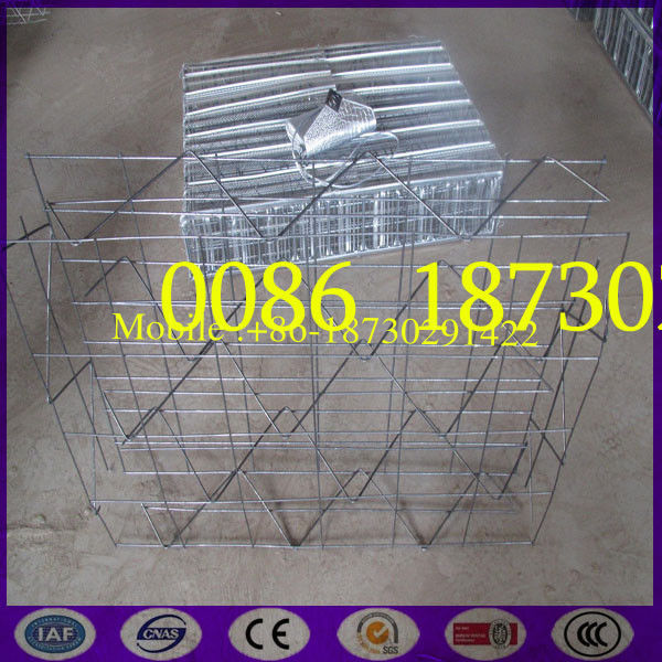 China Best  New type  3D Welded Mesh Panel with Expanded Rib Lath