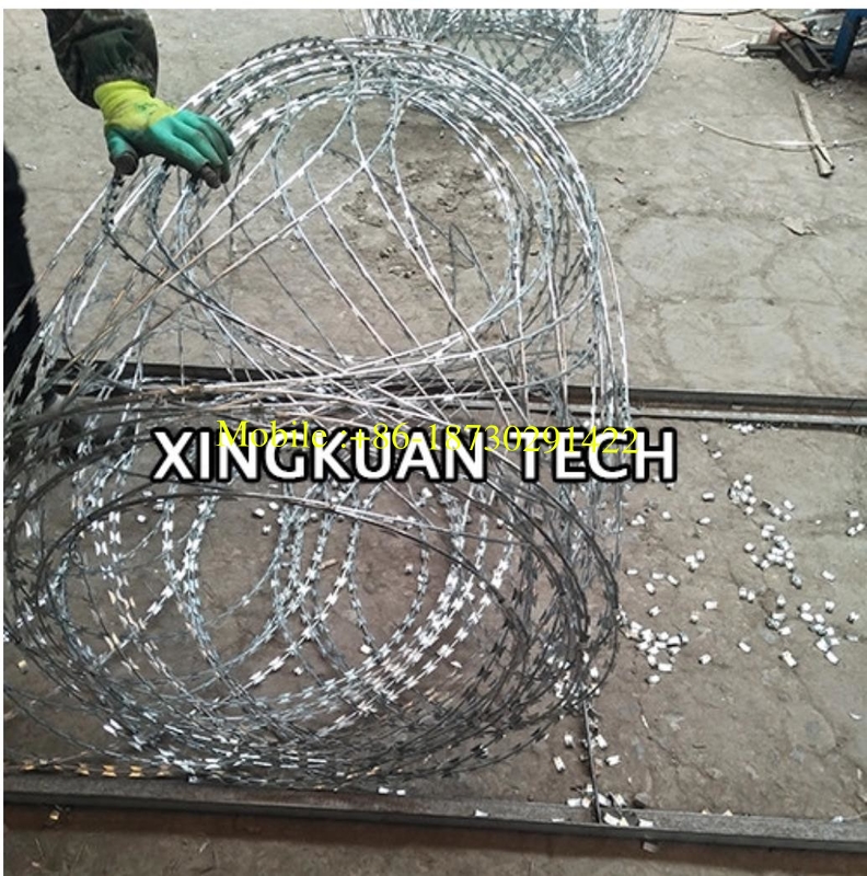 BTO-22 Razor Barbed Wire Hot Dipped Galvanized 600mm 900mm Coil diameter in panel