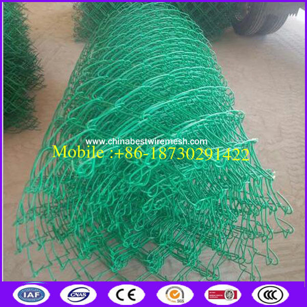 Green color 100x100 opening 5 foot chain link fence with low carbon steel wire