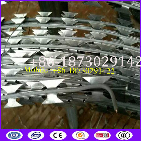 BTO-22 3 Meter Long Stainless Steel 304 Straight Cut Razor Barbed Wire with Elecricity Wire