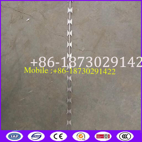 Straight Concertina Razor Barbed Wire from China Supplier