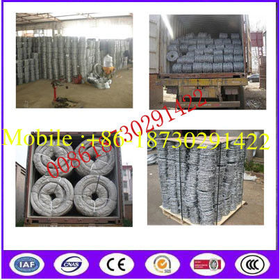 China galvanized barbed wire/  factory directly barbed wire for sale