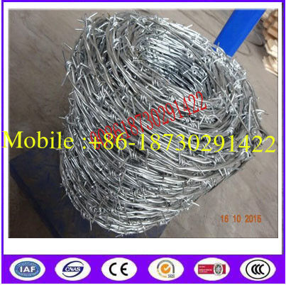 Traditional Twisted barbed wire 2 strand / Double Strand Barbed Wire coil/ Dingzhou galvanized barbed wire factory