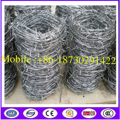 Double Twisted Hot Dipped Galvanized Babred Wire with best quality in Chinba