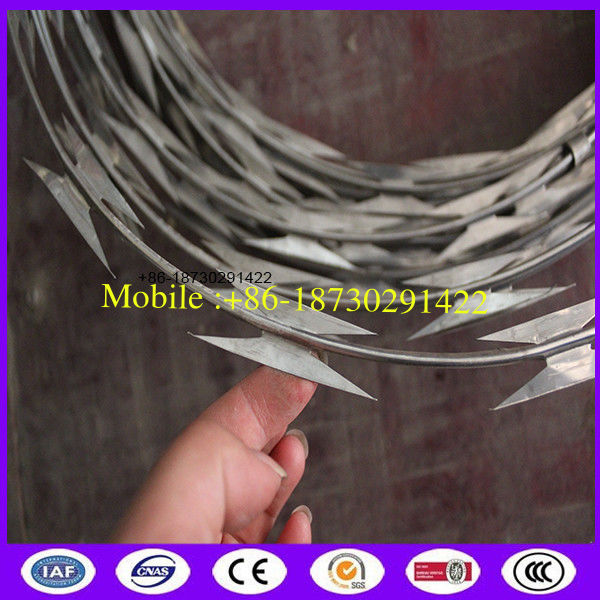 High Security Stainless Steel 316 cbt-65 outside coil diameter 450 mm , 600mm , 900mm  razor barbed wire  for ship usage