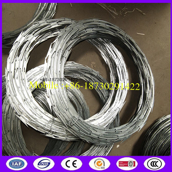 Cbt-65 450mm 50 Feet Length Galvanized Steel Razor Wire Ribbon for Military