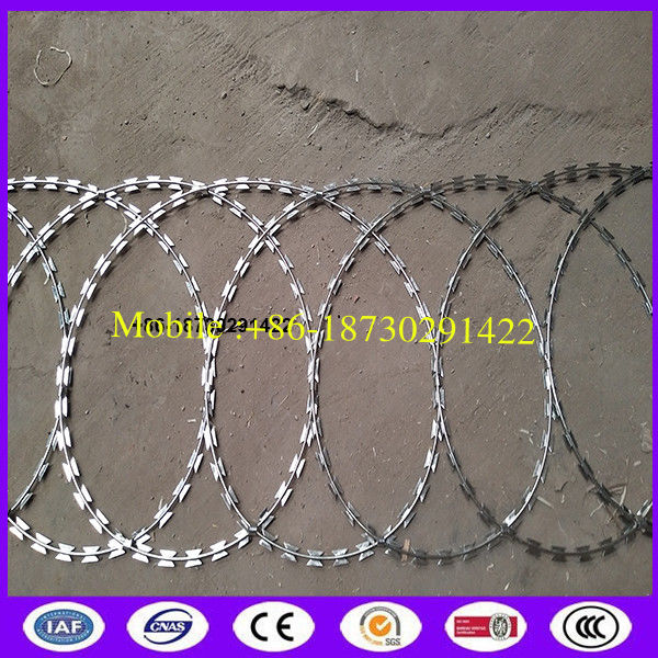 450mm coil diameter Razor wire flat wrap coils as a clapped into a flat panel formation.
