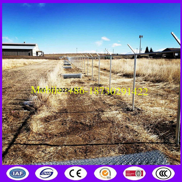 Low cost silver color iron chain link mesh for encircling wasteland with high recycling value and easy installing