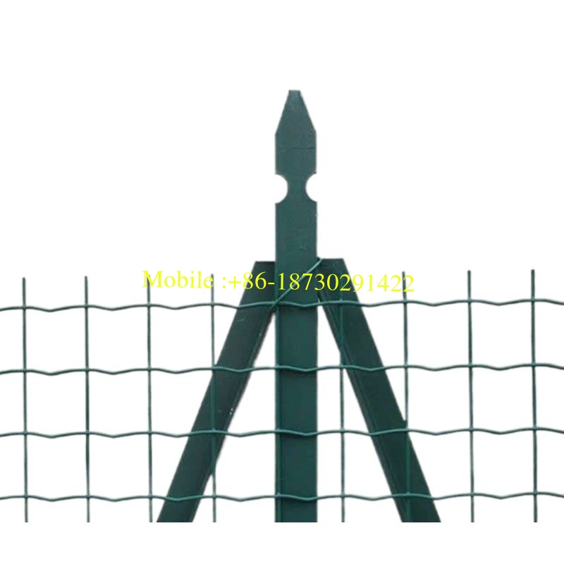 Holland Wire Mesh, Welded, PVC Coated, Used in Railway