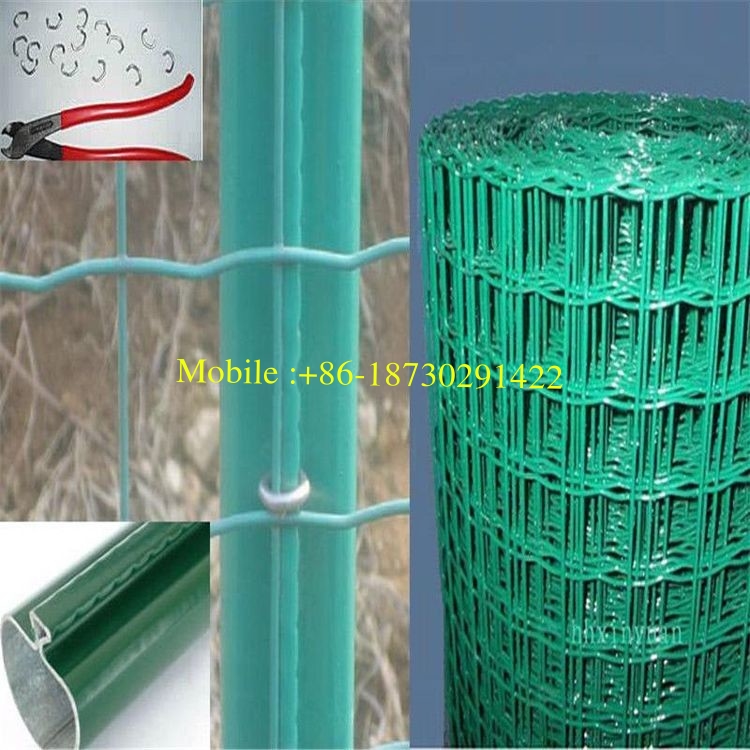 Green PVC Welded Wire Steel Mesh Euro Fence