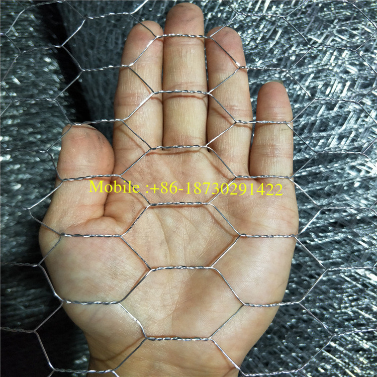 Hot Dipped Galvanized Hexagonal Wire Netting Chickenwire