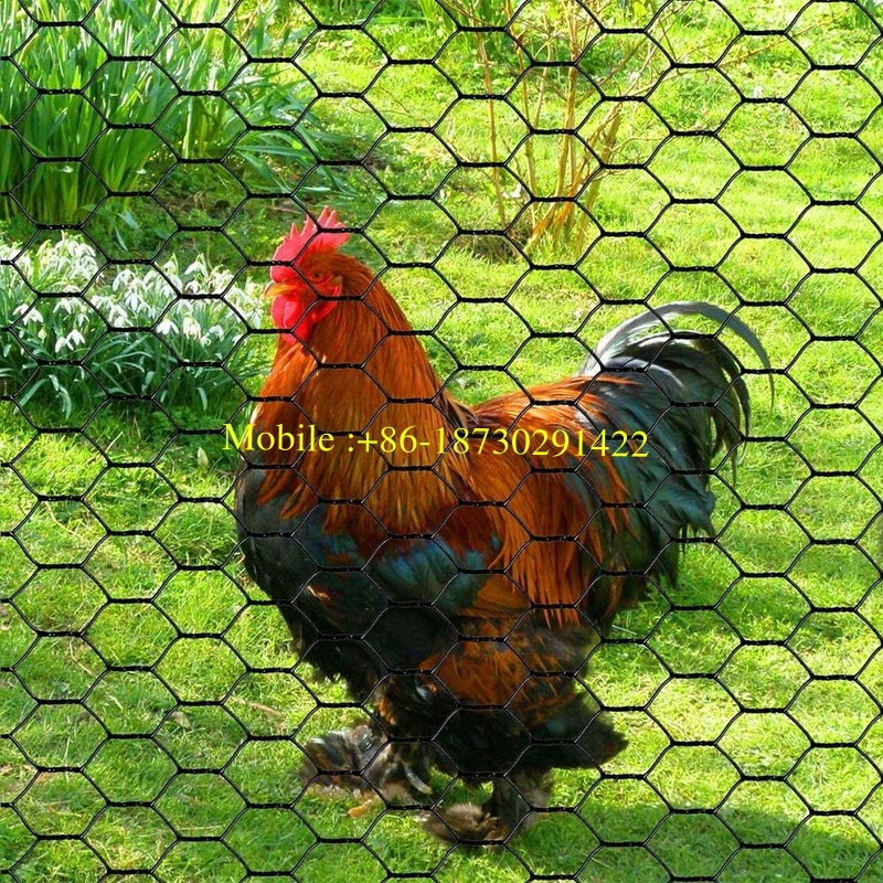 Hexagonal Wire Netting for Chicken Wire