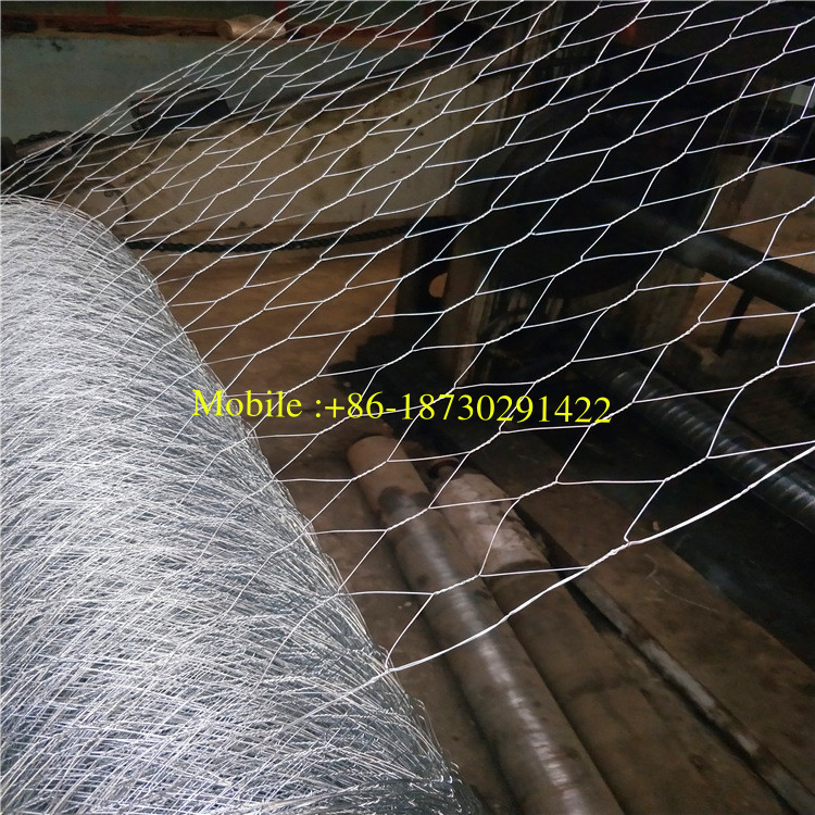 Electro Gavanized Before Weaving Hexagonal Wire Netting