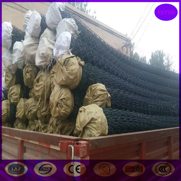 Plastic/ vinyl coated chain link fence China